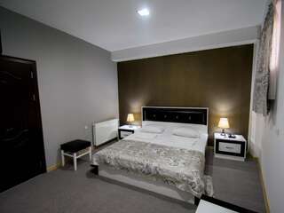 Отель Hotel Batoni Near Airport Тбилиси Стандартный двухместный номер с 1 кроватью-7